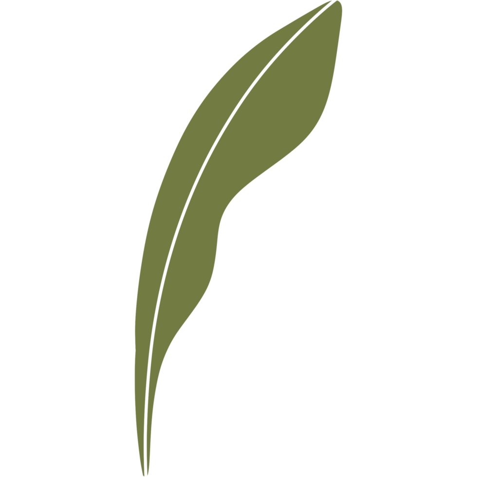 Aesthetic flower plant leaves png