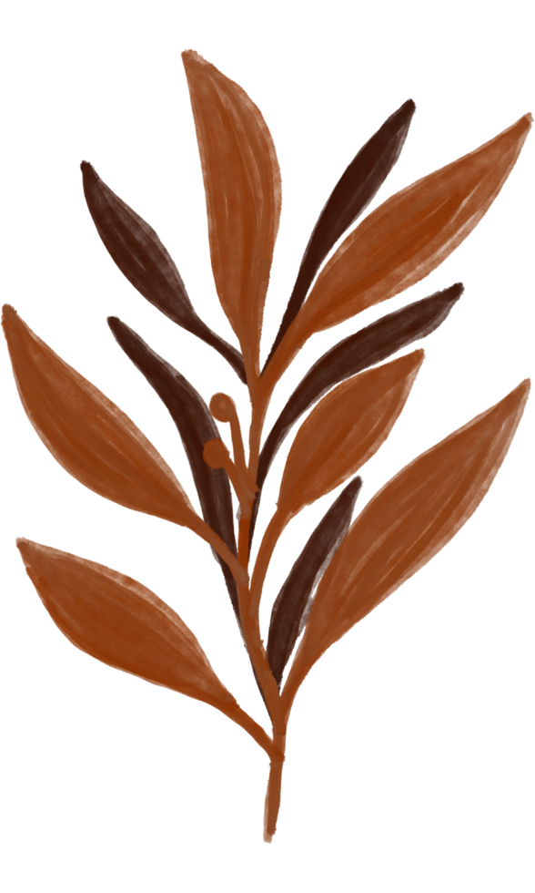 Aesthetic flower plant leaves 10869702 PNG