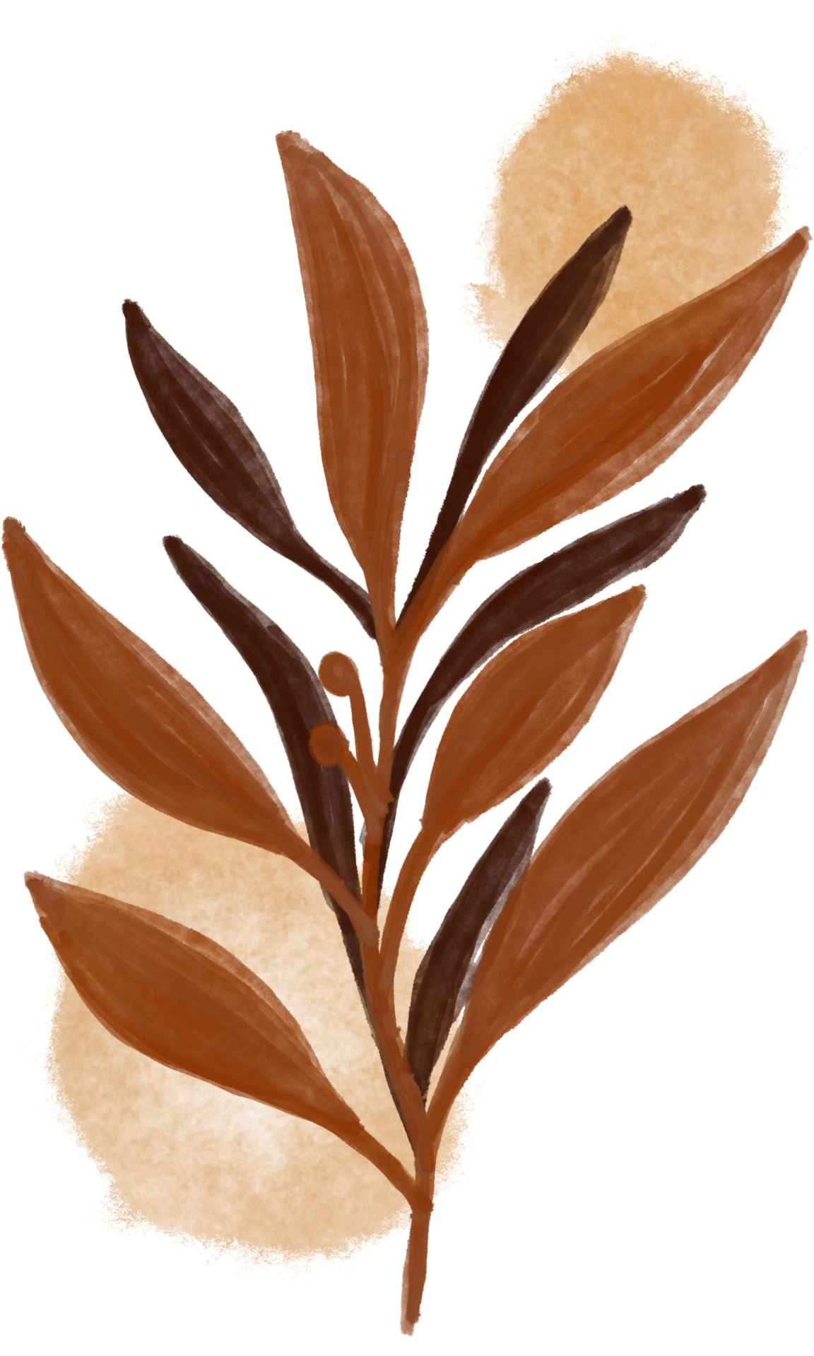 Aesthetic flower plant leaves 10869706 PNG