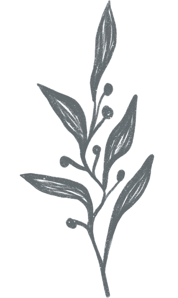 Aesthetic flower plant leaves png