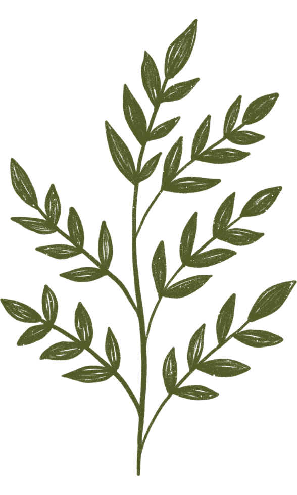 estetico fiore pianta le foglie png