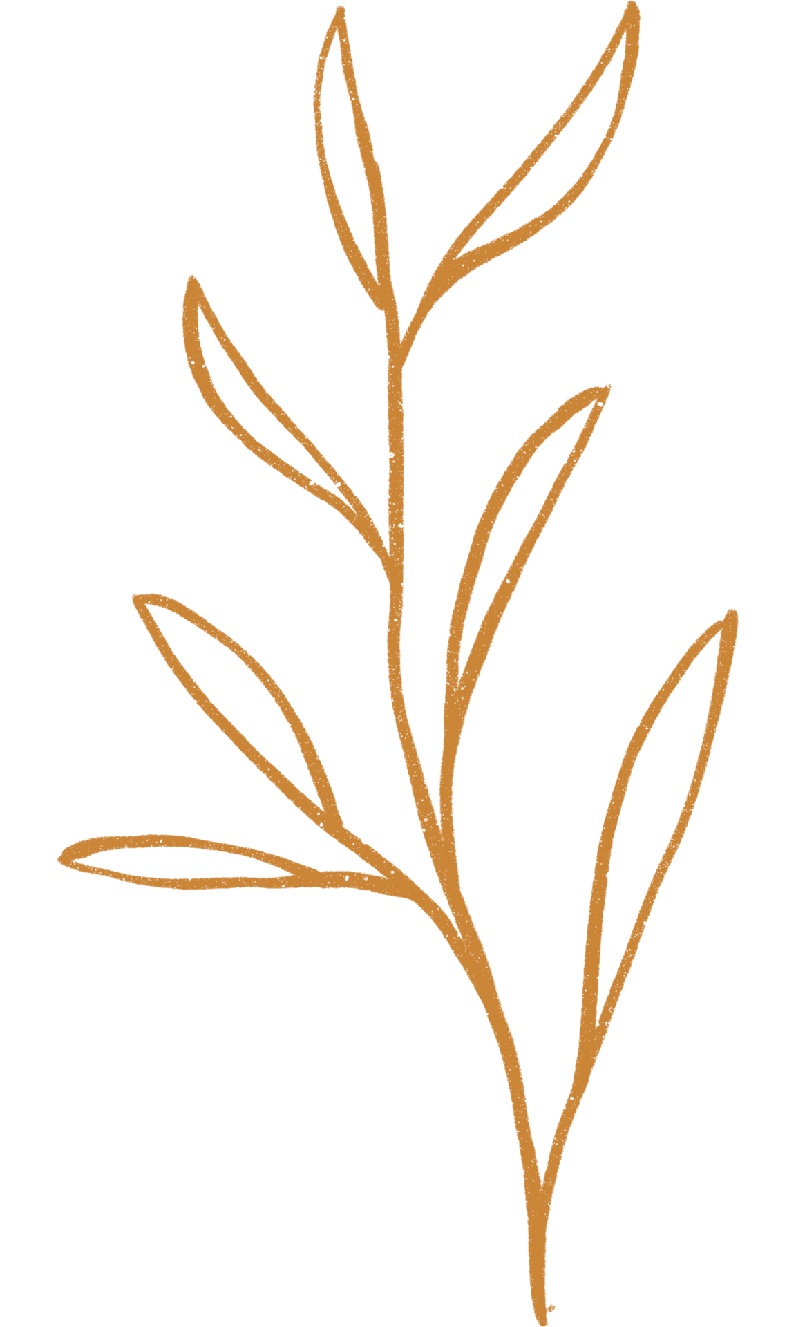 Aesthetic flower plant leaves 10869732 PNG