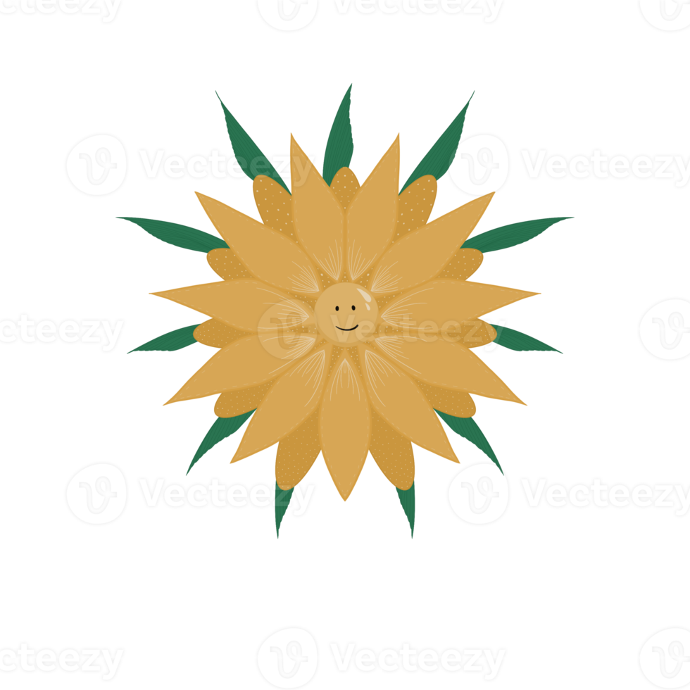 Hand drawn sunflower Pro png