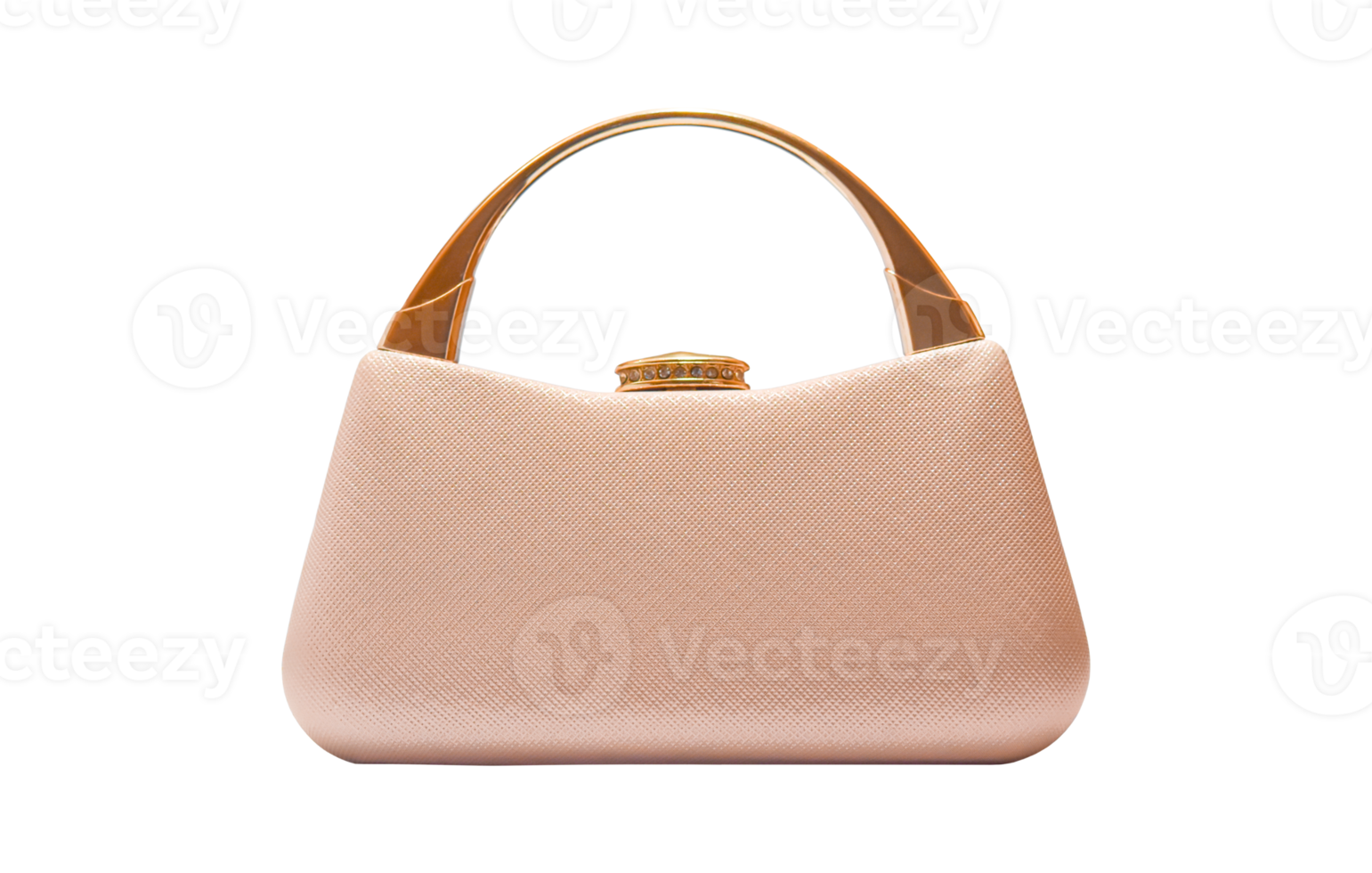 Clutch bag, Female bag Isolated. png