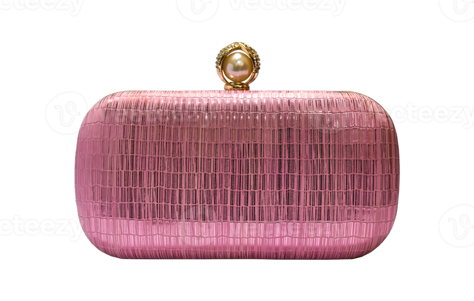 Clutch bag, Female bag Isolated. 10870001 PNG