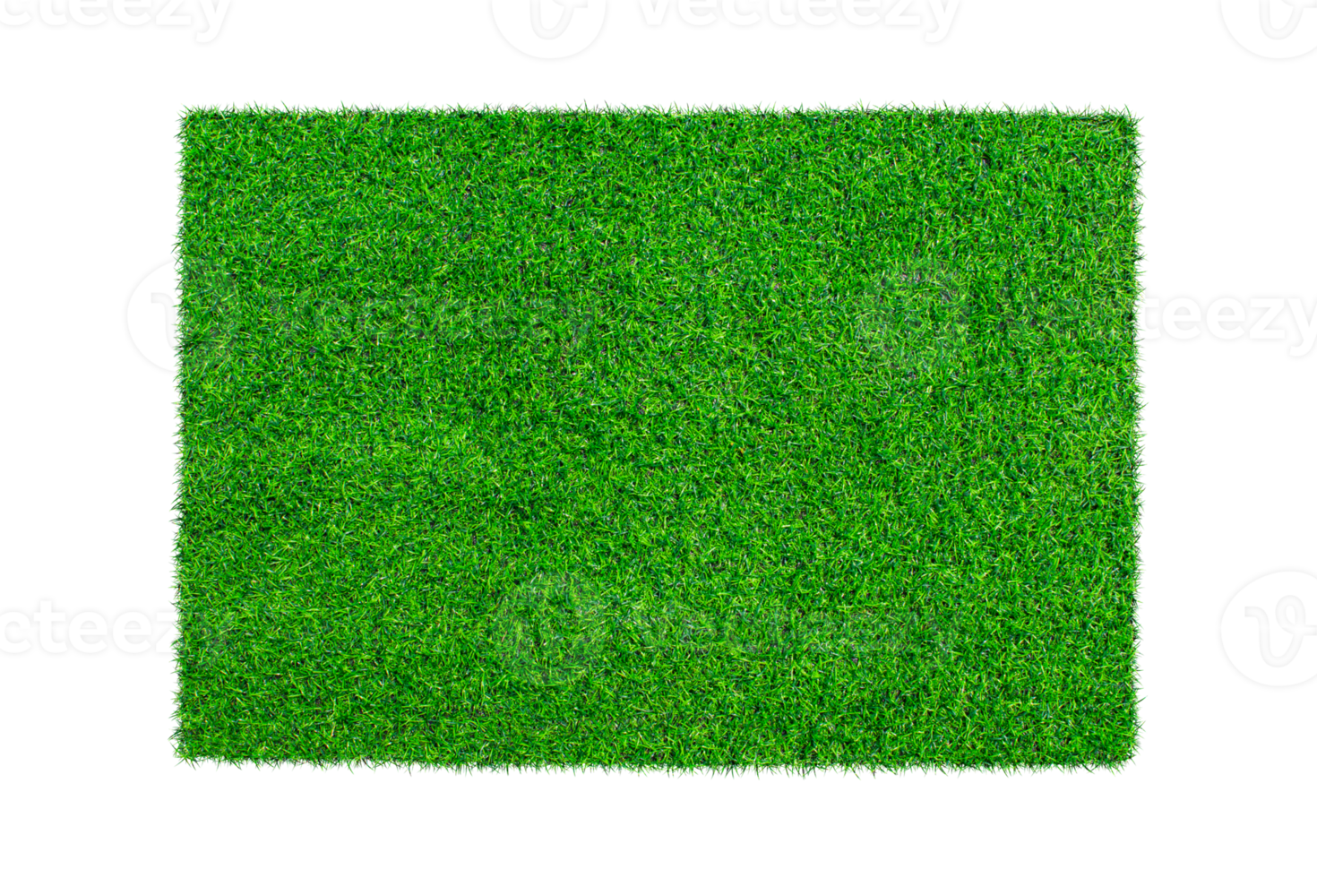 Artificial green carpet grass isolated png