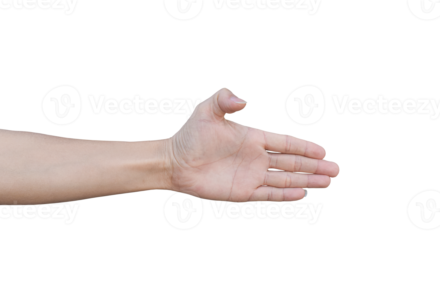 Male hand gestures isolated. png