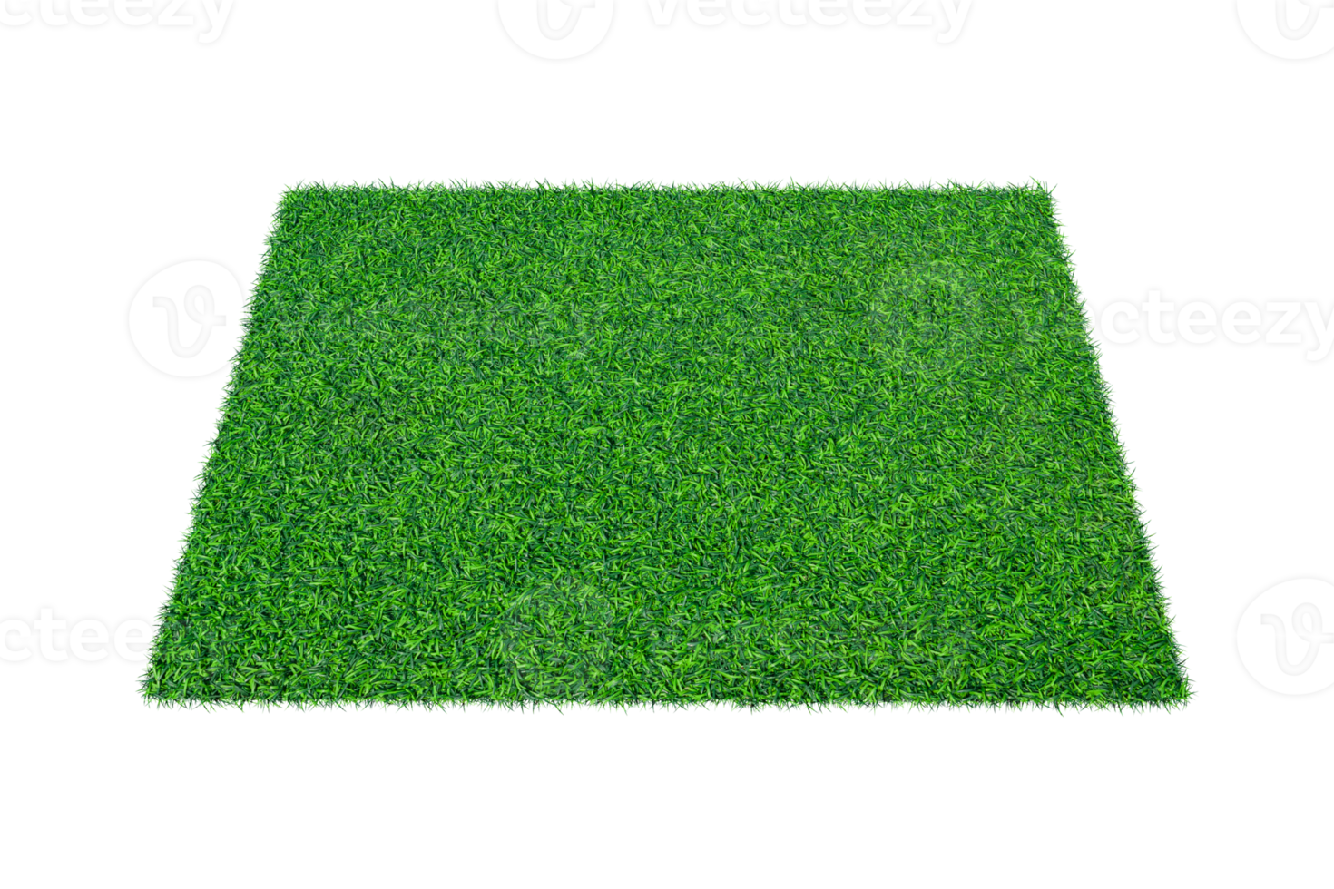 Artificial green carpet grass isolated png