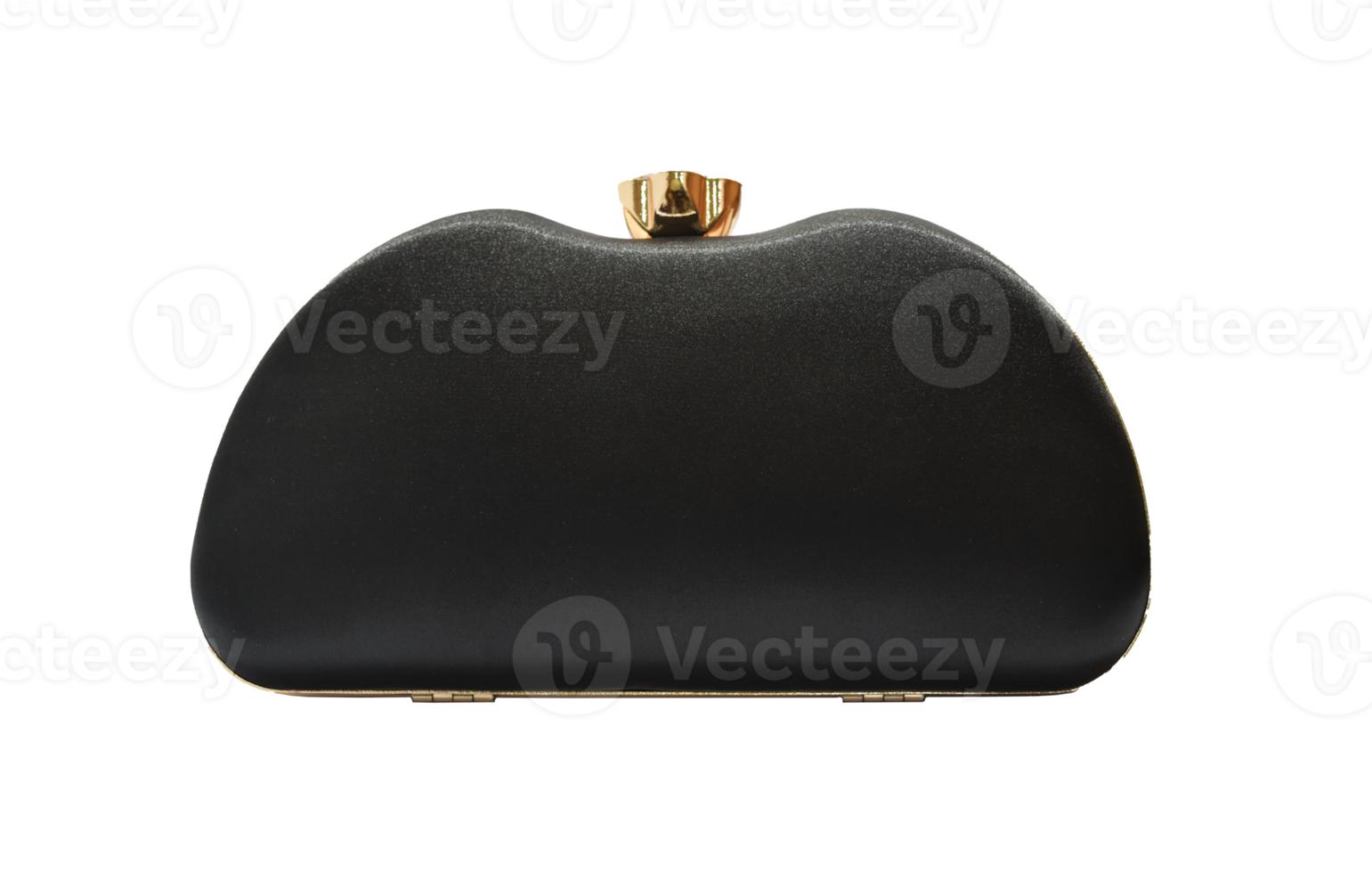 Clutch bag, Female bag Isolated. 10870415 PNG