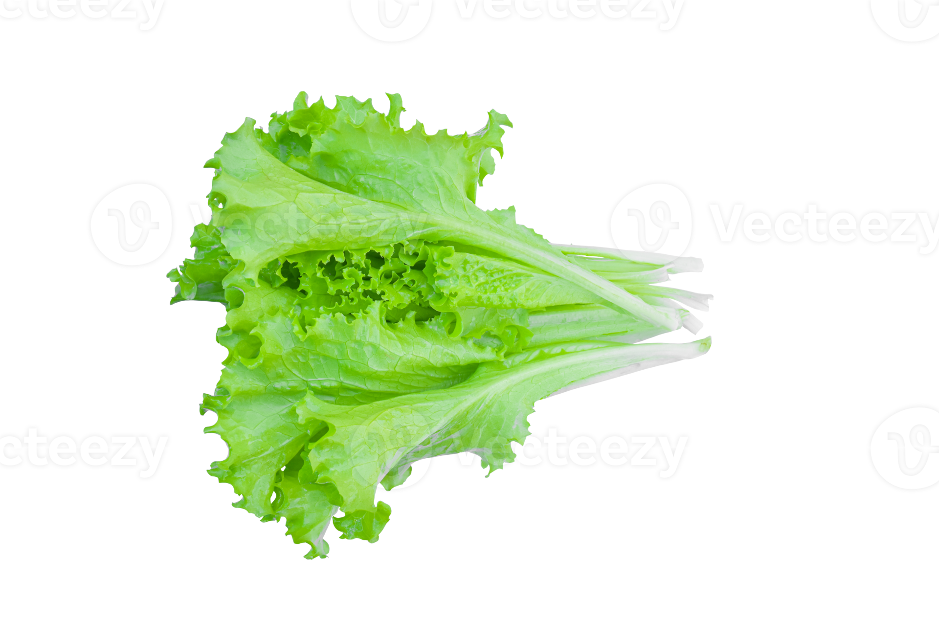 Green lettuce leaves, salad isolated 10870461 PNG