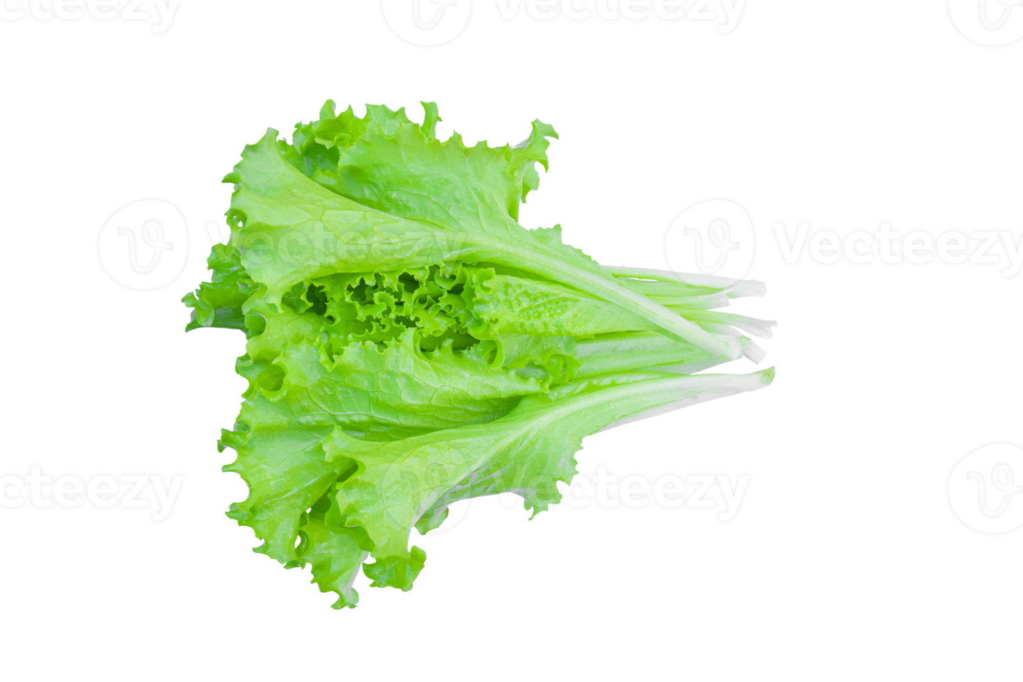 Green lettuce leaves, salad isolated png