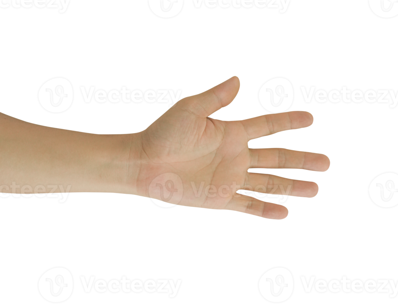 Man hand gesture isolated. png
