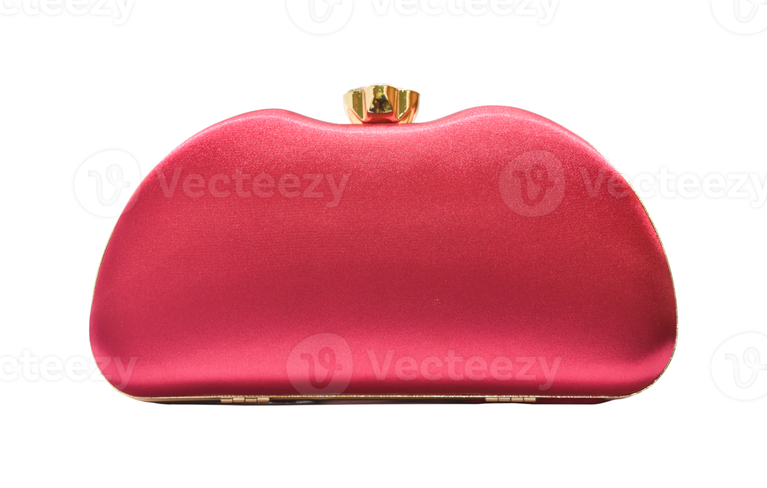 Clutch bag, Female bag Isolated. 10870512 PNG