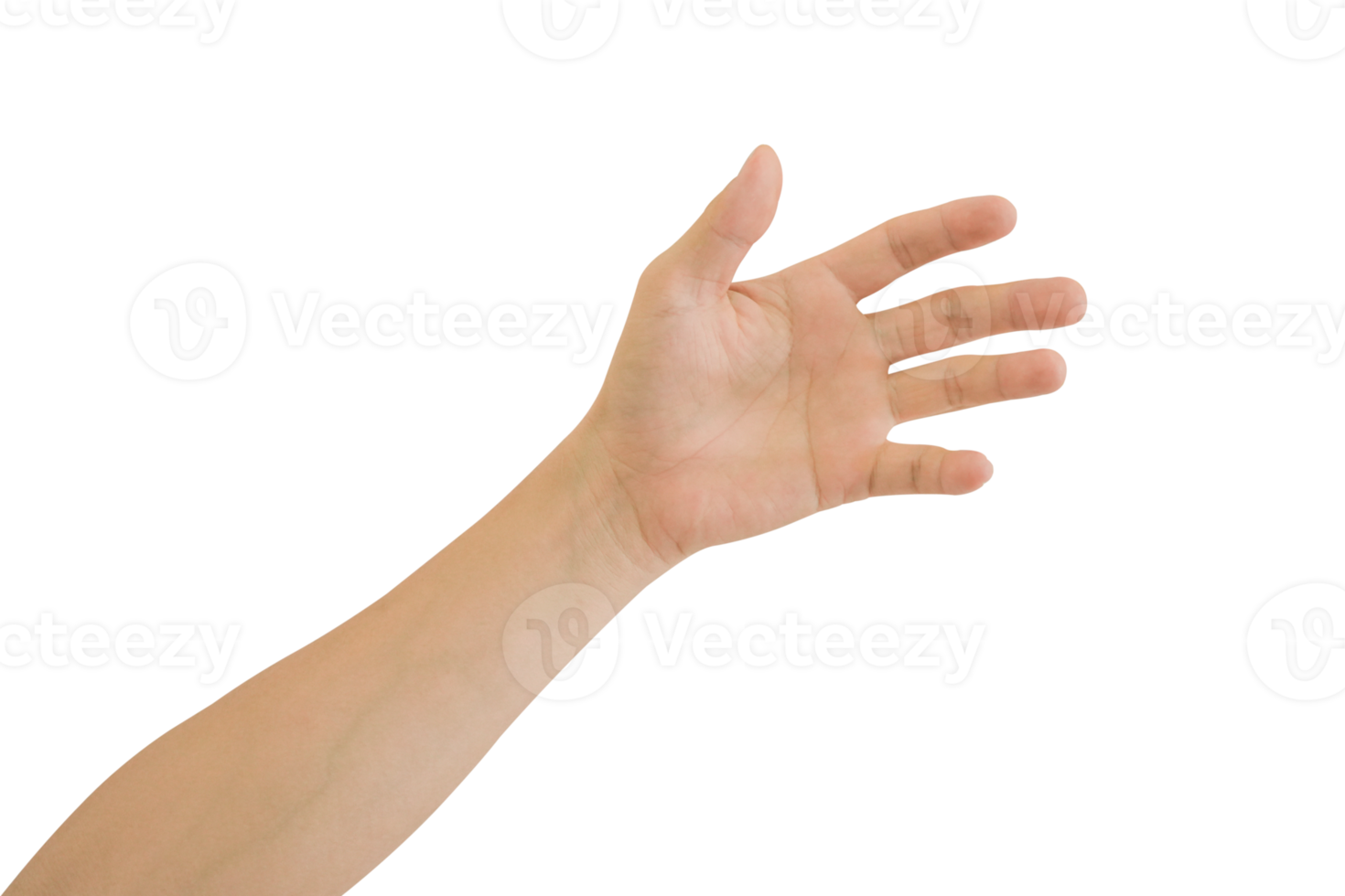 Man hand gesture isolated. png