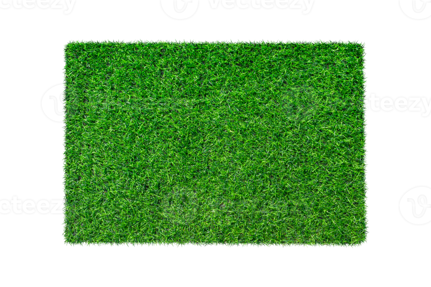 Artificial green carpet grass isolated png