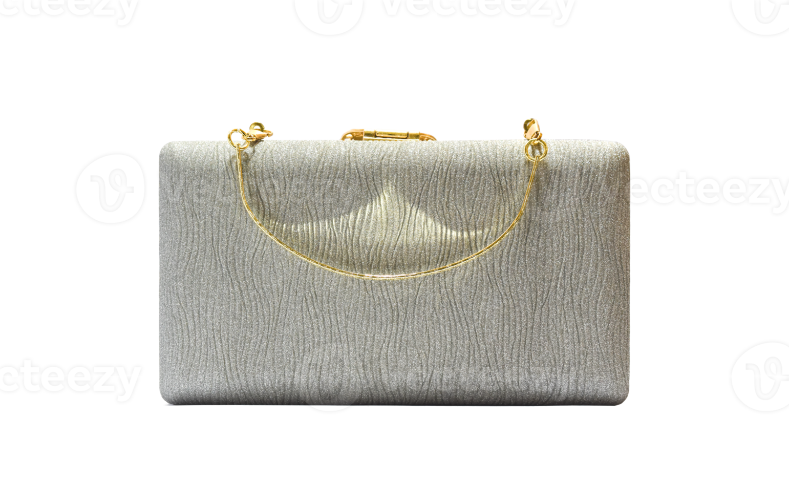 Clutch bag, Female bag Isolated. 10870576 PNG