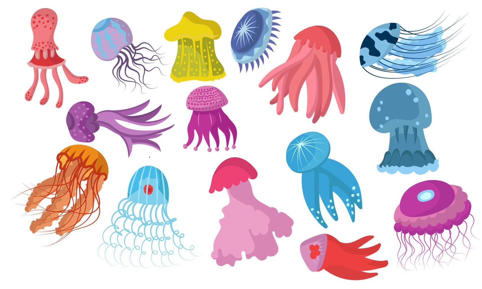 Jellyfish cartoon isolated medusa and biology jelly fish. Purple marine set and water life animal vector illustration. Colorful exotic undersea wildlife with tentacle and collection sea nature icon