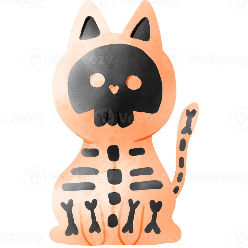 gato fantasma de caveira png