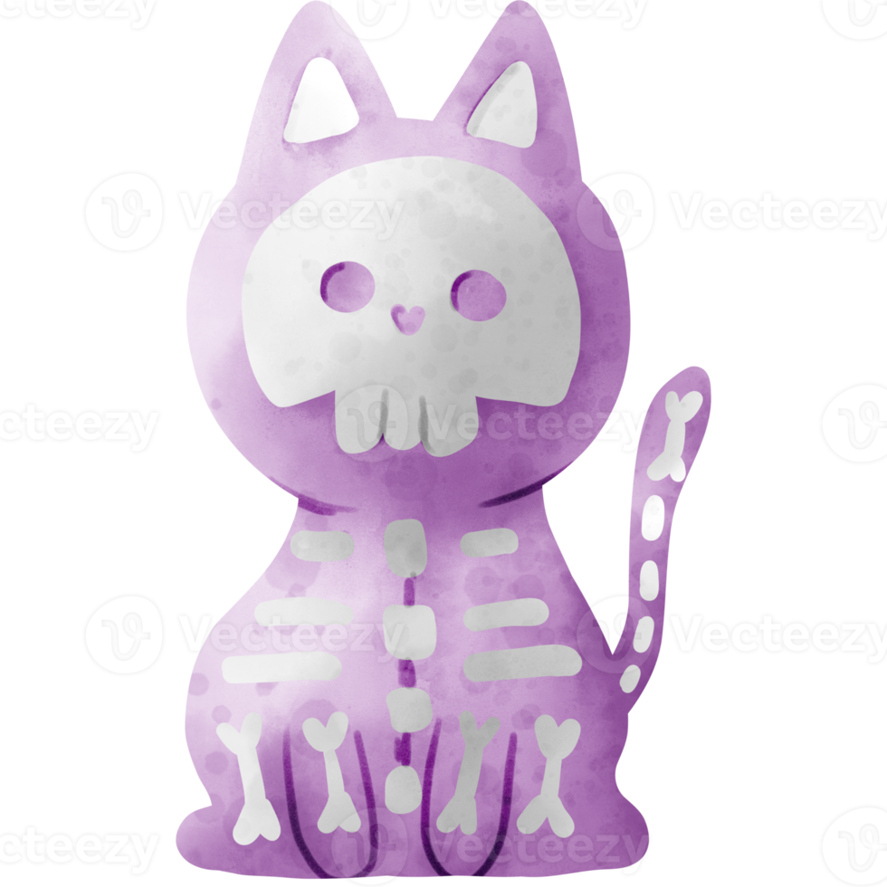 Skull Ghost Cat png