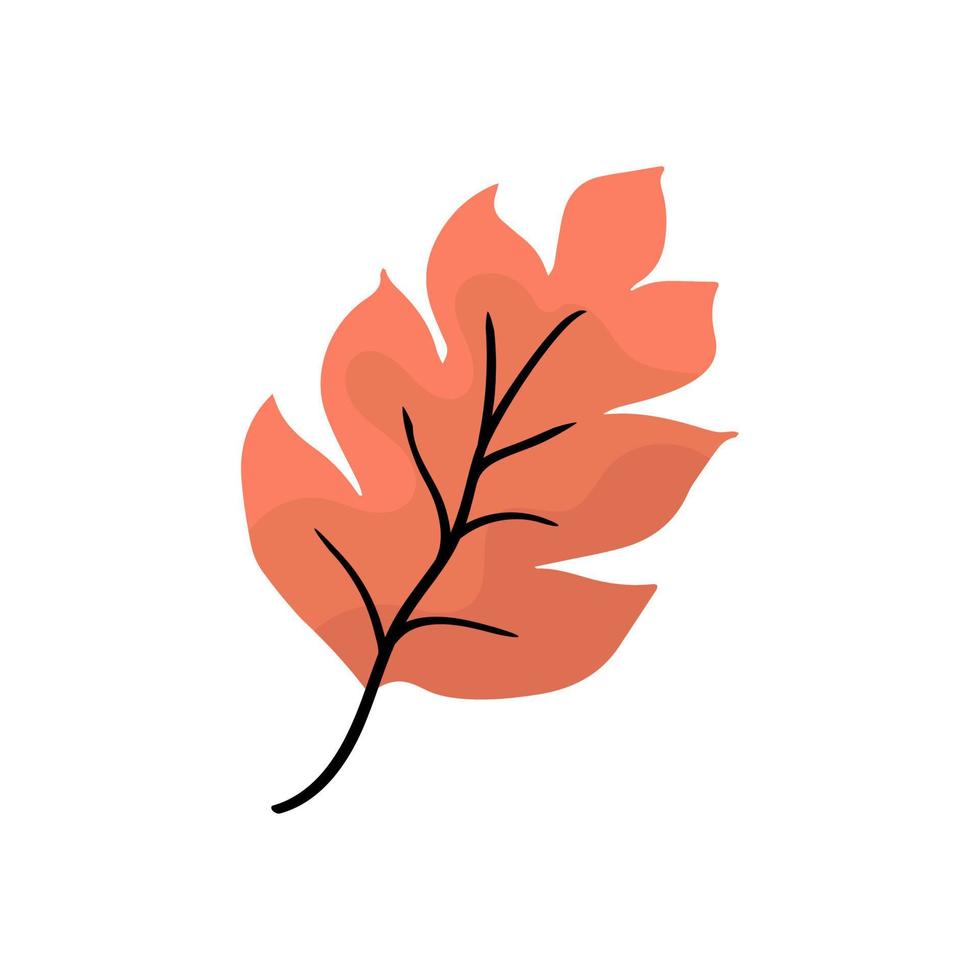 Fantasy autumn tree leaf. Abstract  Leaf shape for design. Isolated on white background. vector