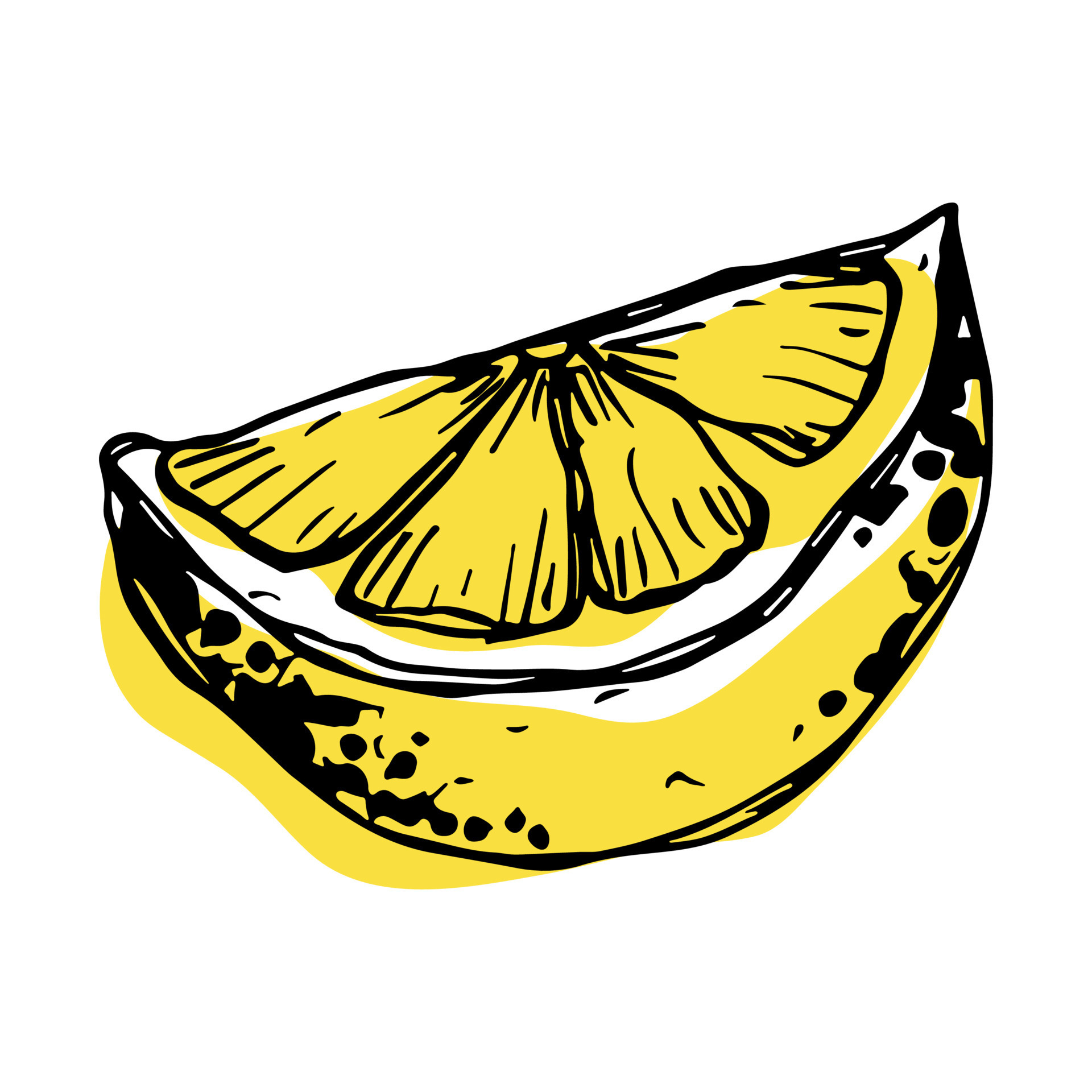 Vector lemon clipart. Hand drawn citrus icon. Fruit illustration. For ...