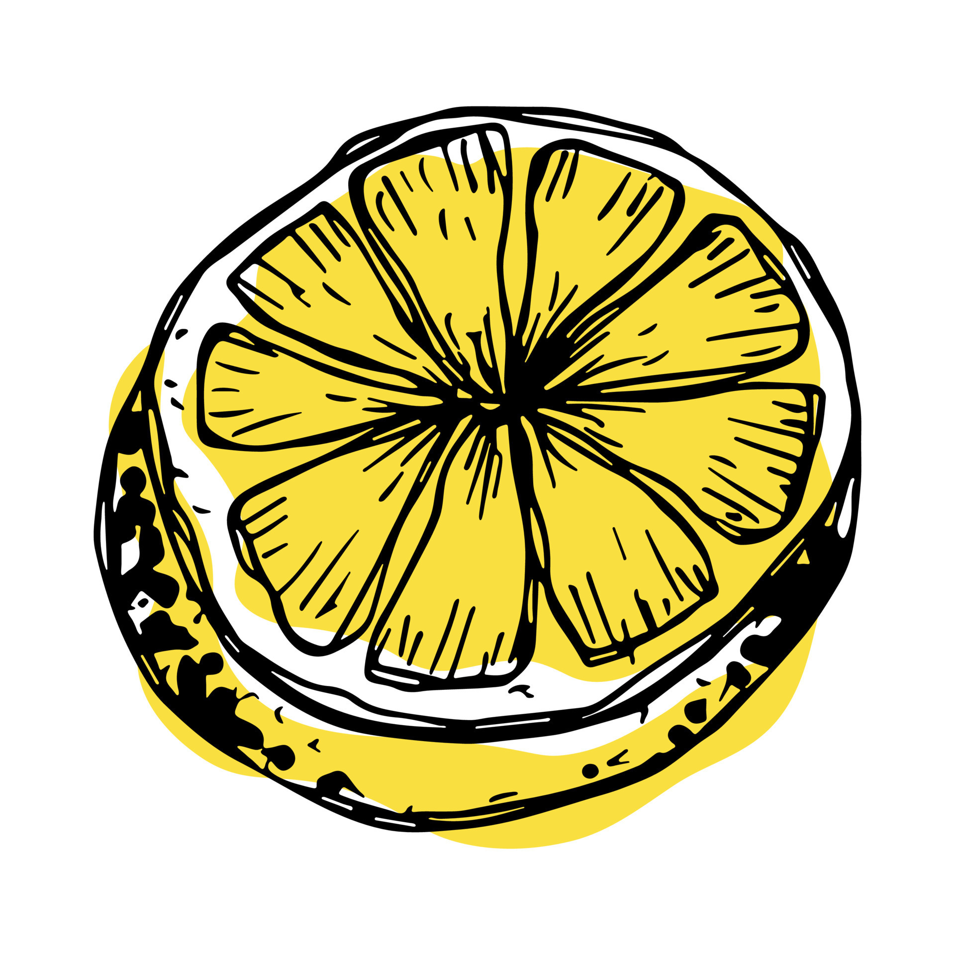 Vector lemon clipart. Hand drawn citrus icon. Fruit illustration. For ...