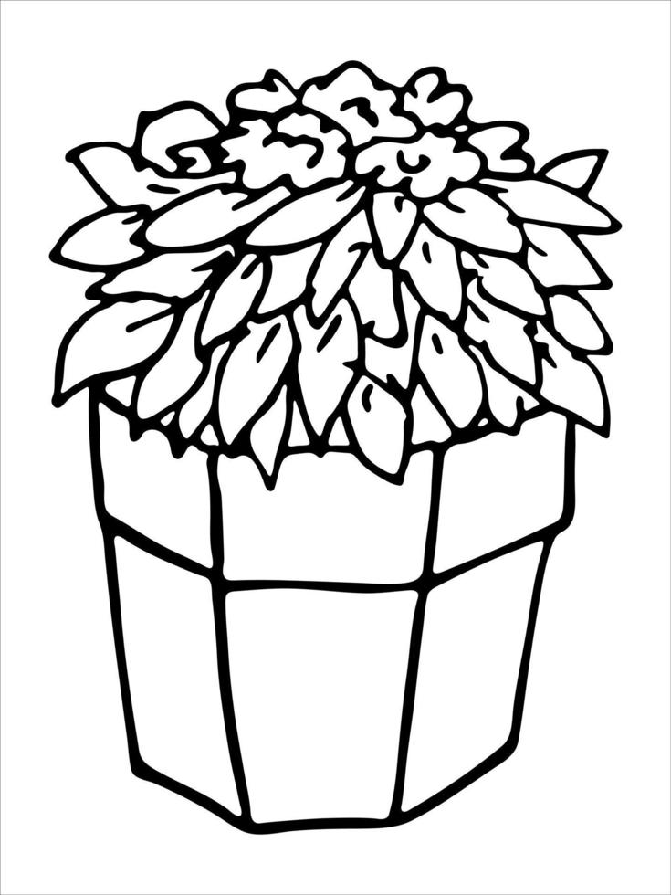 Cute hand drawn houseplant in a pot clipart. Plant illustration. Cozy home doodle vector