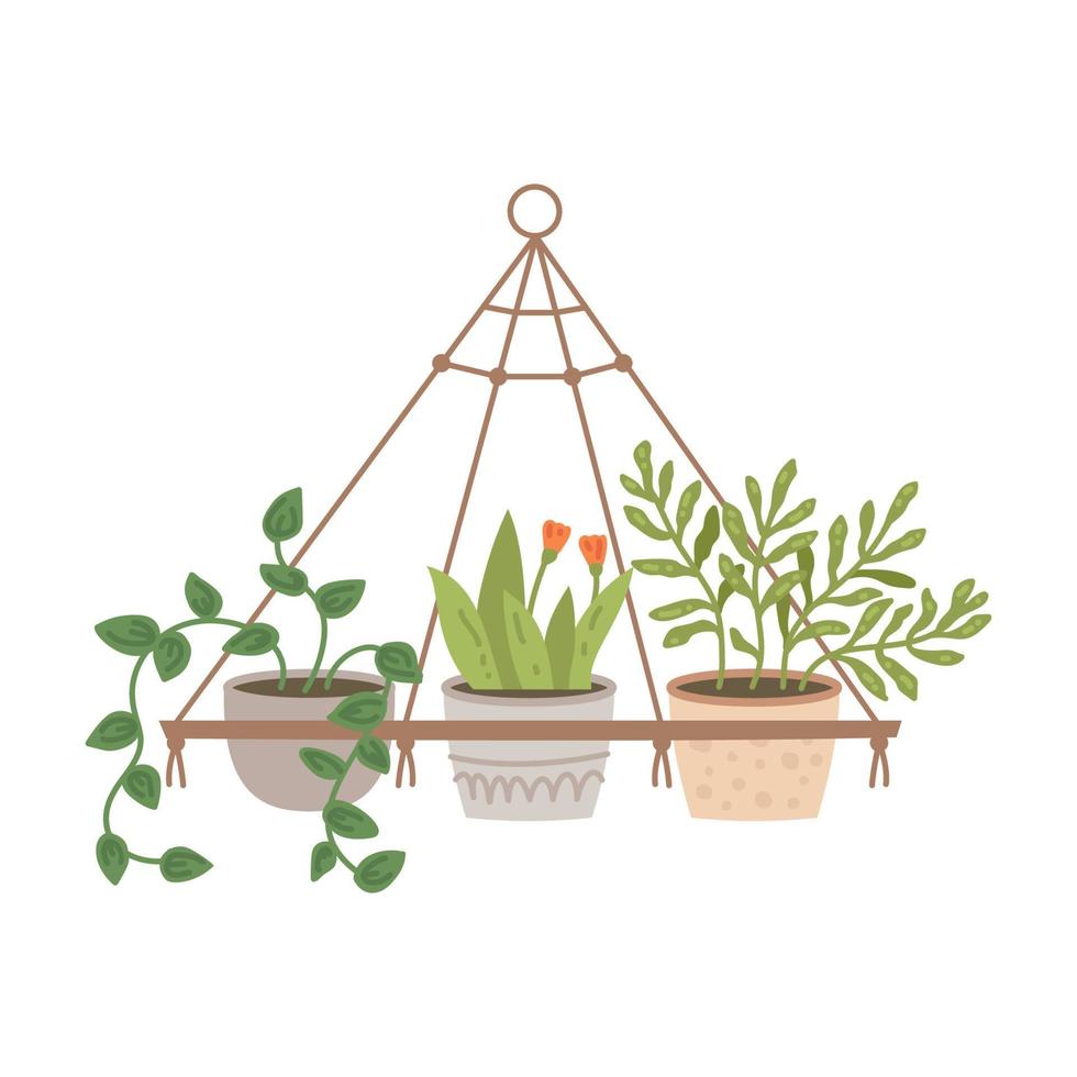 Plant in hanging pot. Houseplant hang on rope, decorative indoor plant, vector