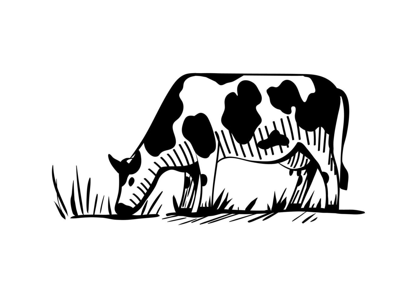 Rural landscape with a dairy cow grazing in the meadow. Vector illustration in sketch style for packaging design