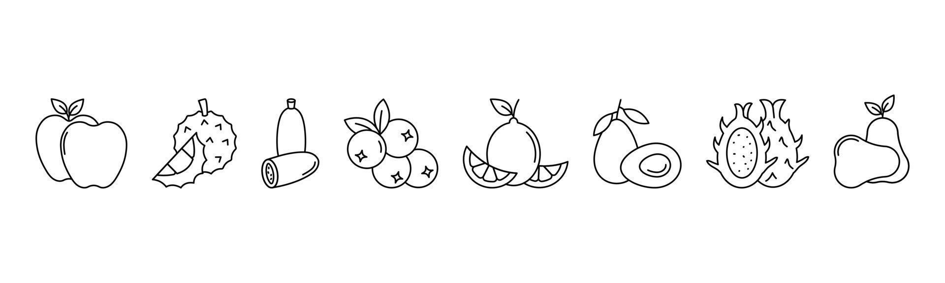 Fruit line art icon set design template vector illustration