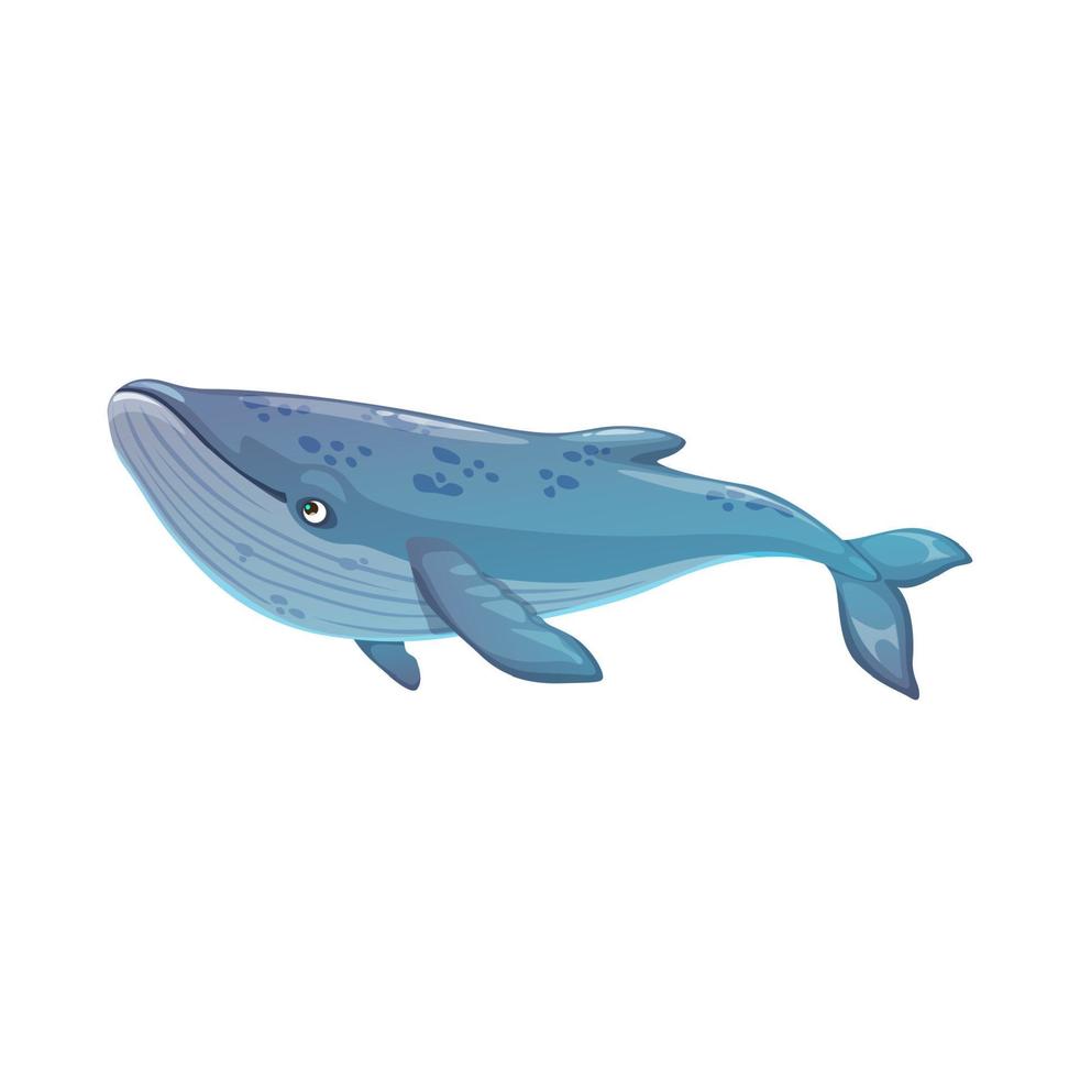 Blue whale underwater animal, vector sea mammal