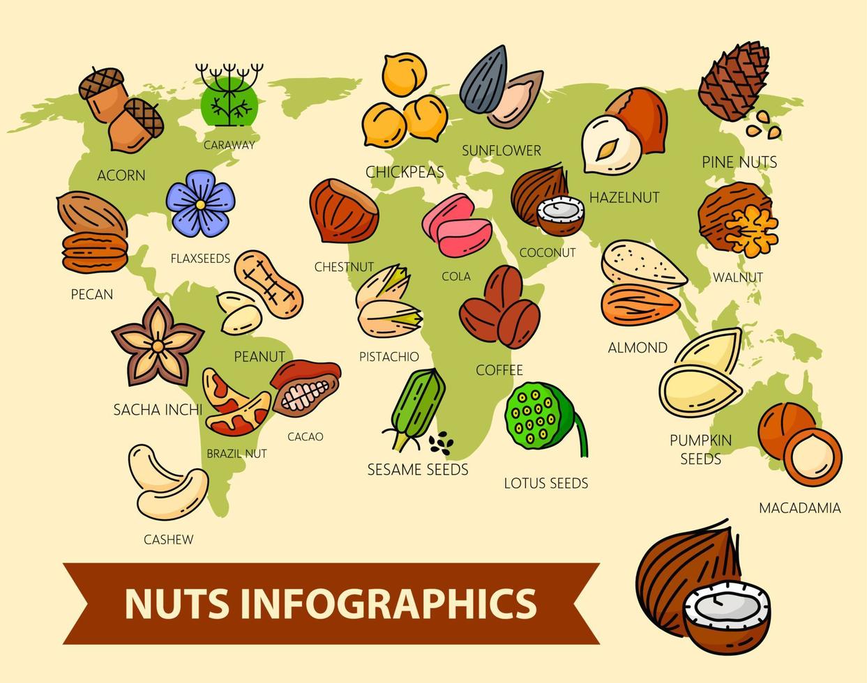 infografías vectoriales de nueces y semillas, mapa del mundo vector