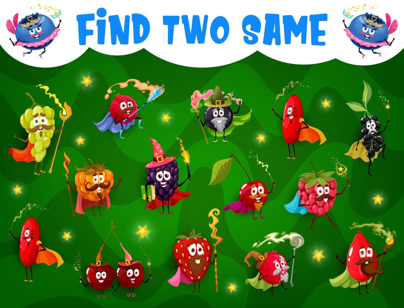Find two same cartoon berry wizard, mage, fairy vector