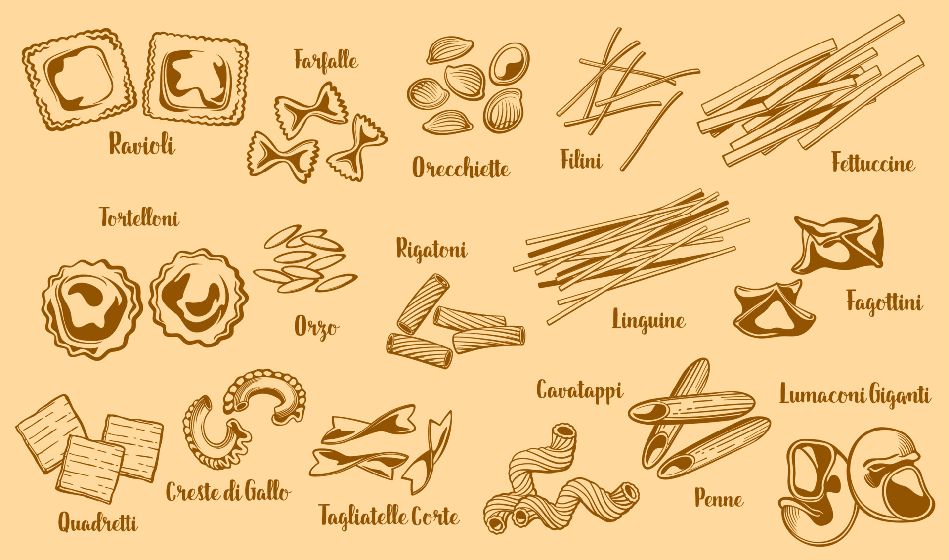 Premium Vector  Types of pasta long pasta difference illustration example