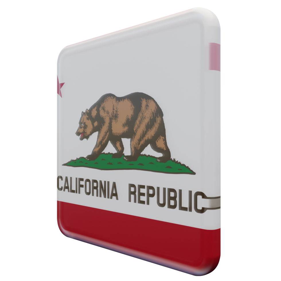 California Right View 3d textured glossy square flag png