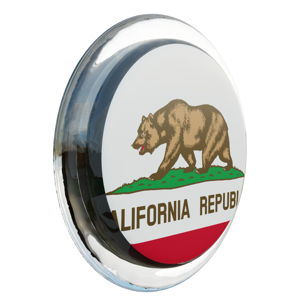 California Left View 3d textured glossy circle flag png