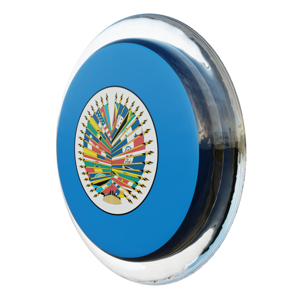 Organization of American States Right View 3d textured glossy circle flag png