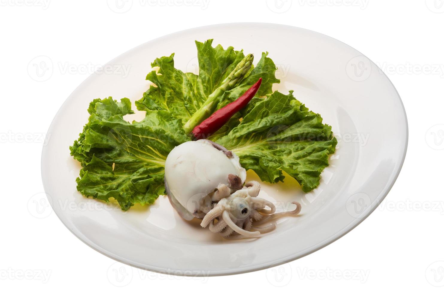 Boiled cuttlefish on the plate and white background photo