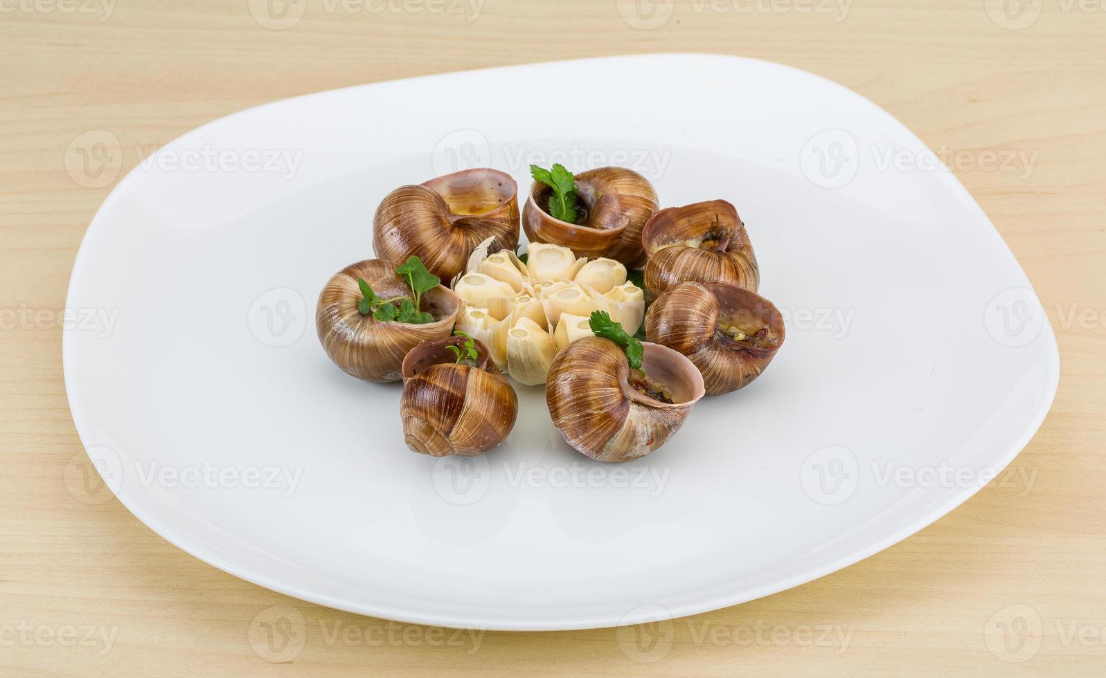 Escargot snails on a plate photo
