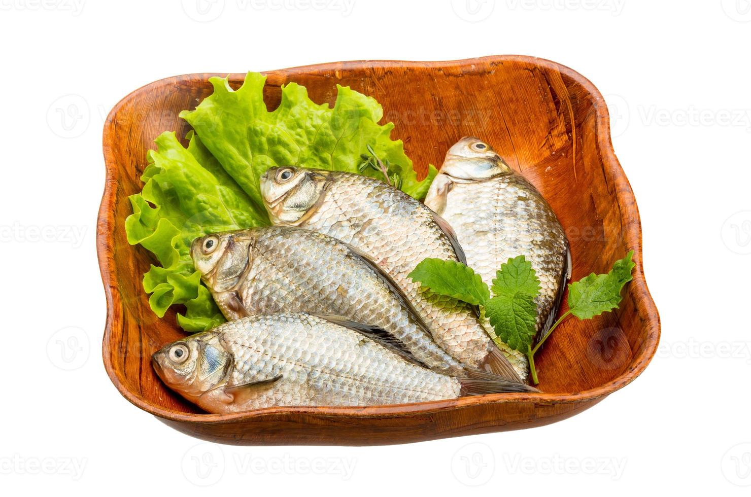 Crucian fish in a bowl on white background photo