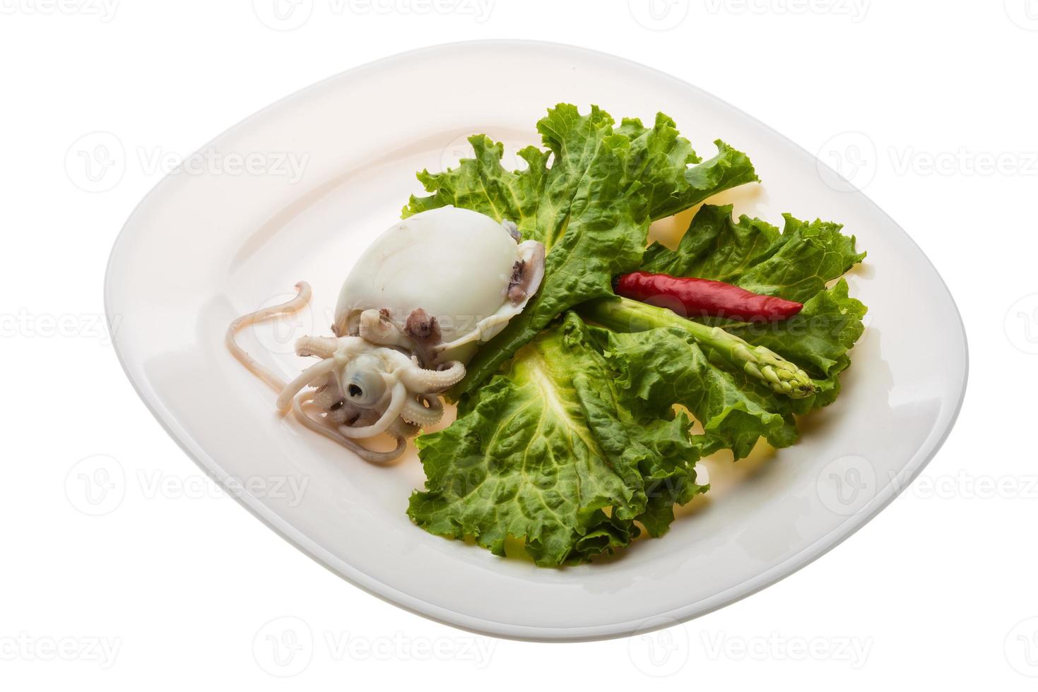 Boiled cuttlefish on the plate and white background photo