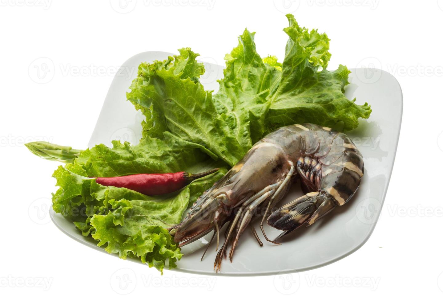 Tiger prawn Tiger prawn on the plate and white background photo