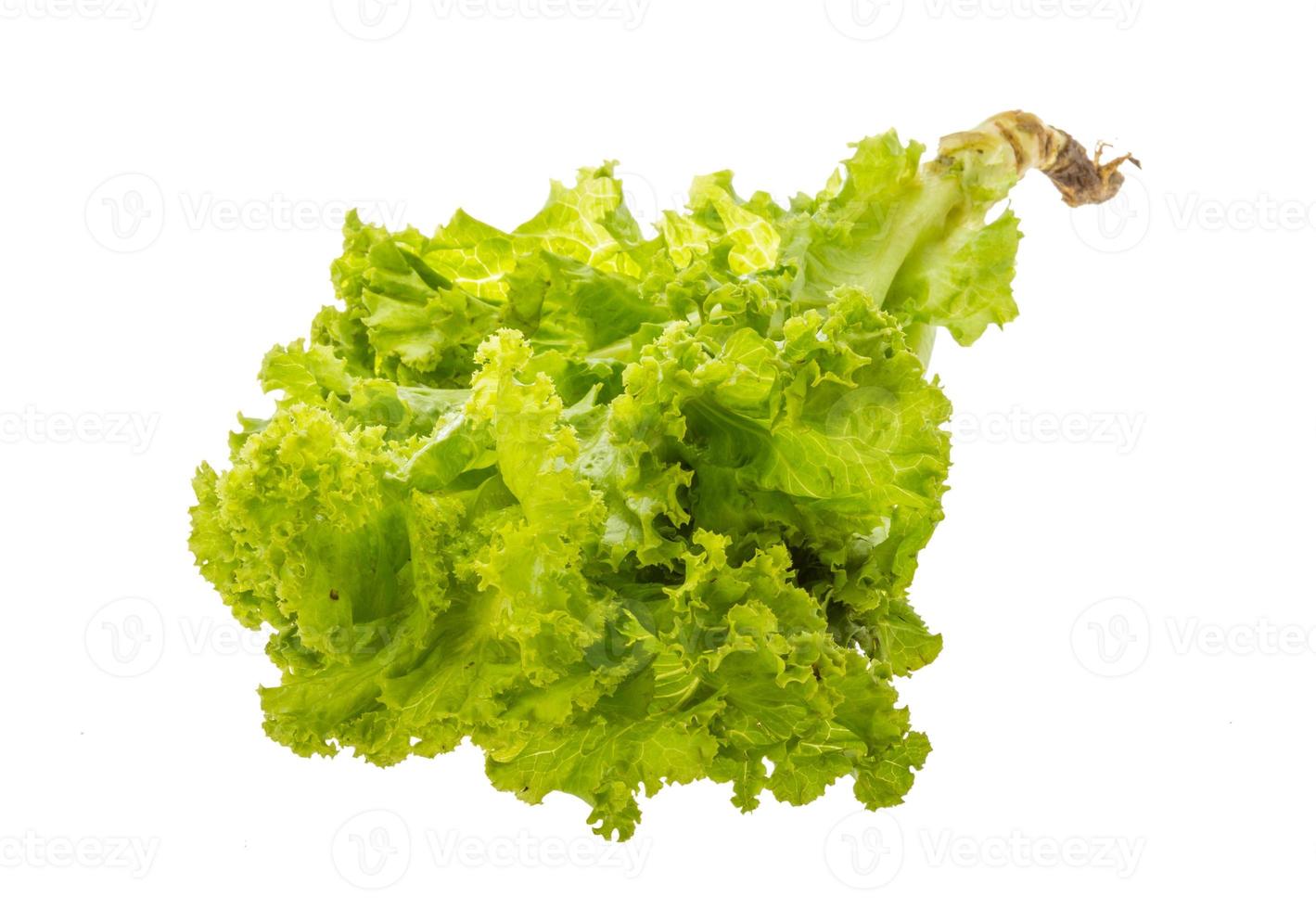 Salad leaves on white background photo