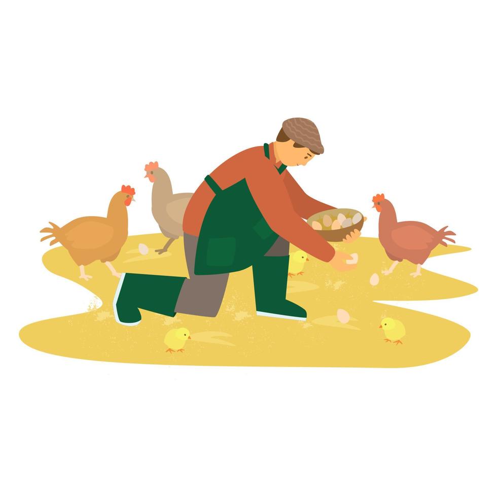 Vector illustration of young farmer collecting chicken eggs. Poultry. Small business.