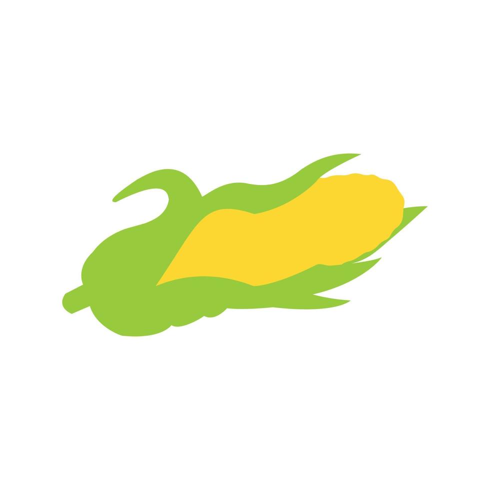 Corn in green husk isolated on a white background. sweet corn. vector