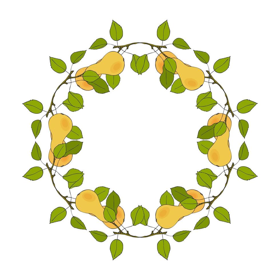 Wreath of twigs with pear, hand drawn, round frame with branches, leaves and fruits. Isolated, white background. vector