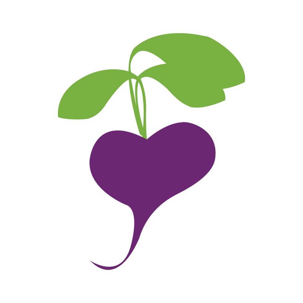 Beetroot flat icon vector image, with illustration design