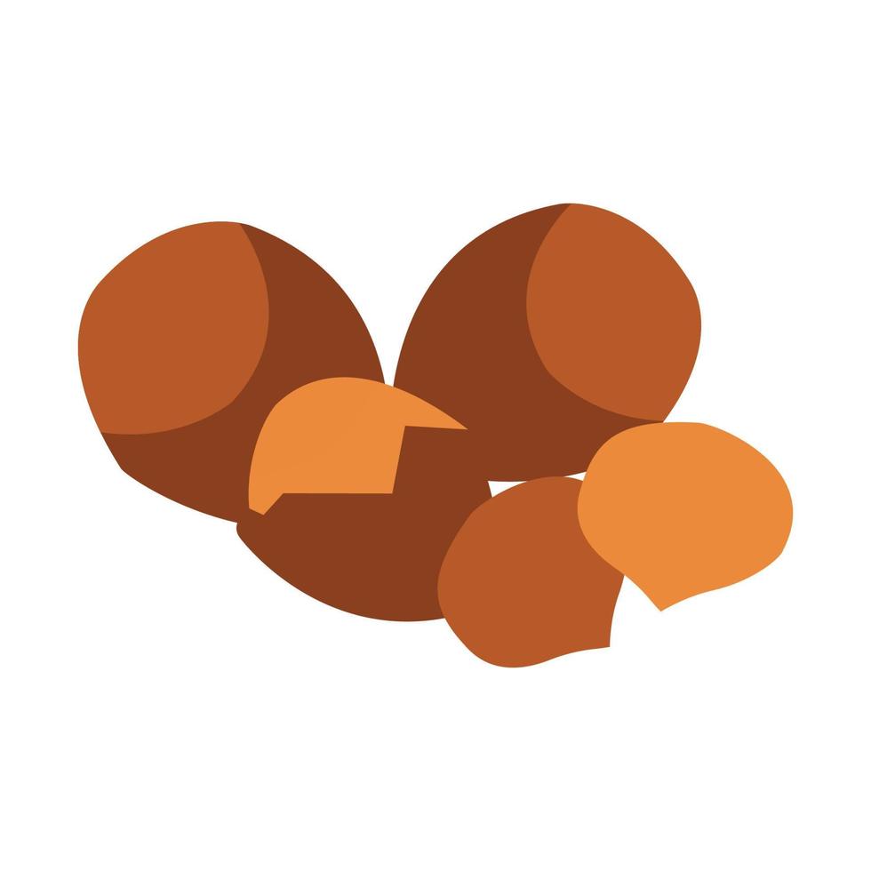 Shea seeds, vector illustration. Simple icon isolated on a white background