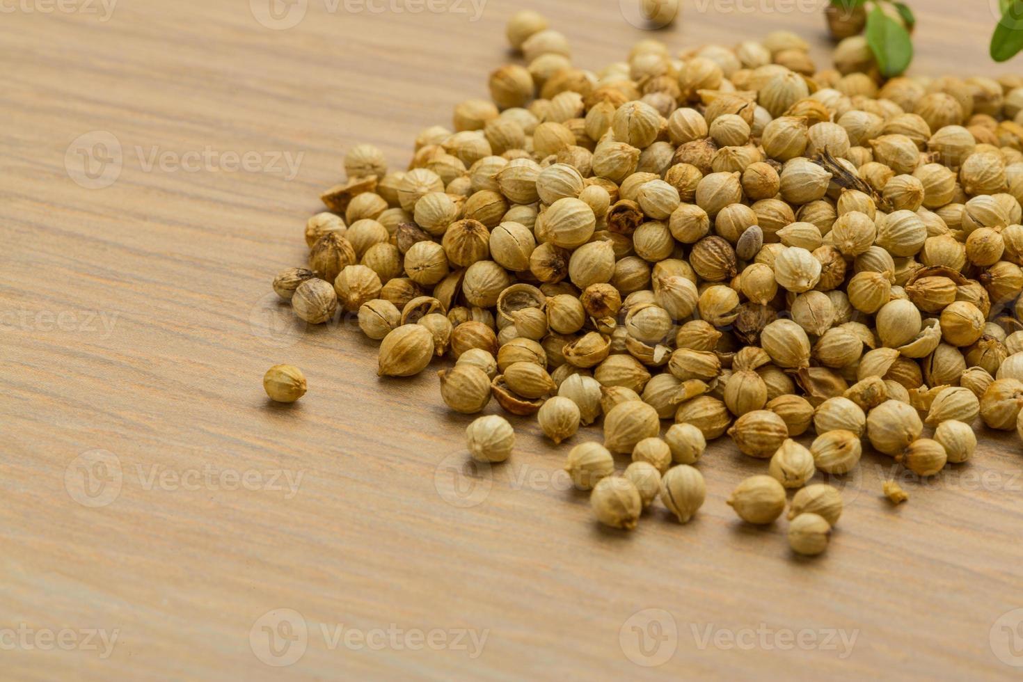Coriander seeds on wooden background photo