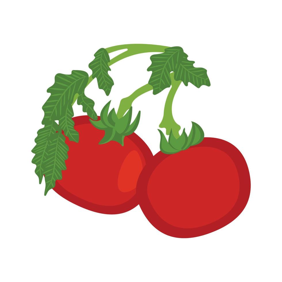 Vector illustration of a bunch of red fresh tomatoes on a green branch.